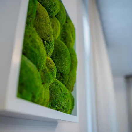 公寓 Aurea 希欧福克