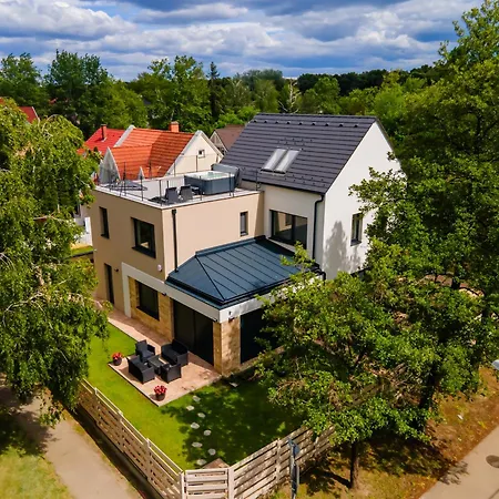 Aurea * שיופוק