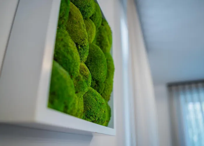 דירה Aurea שיופוק